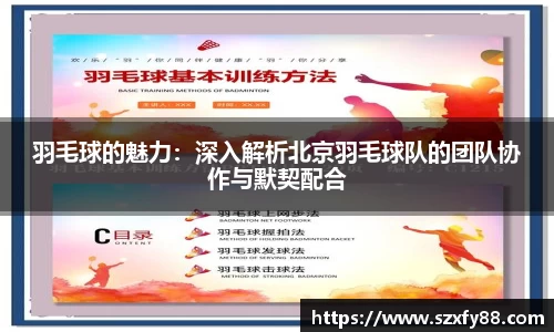 羽毛球的魅力：深入解析北京羽毛球队的团队协作与默契配合